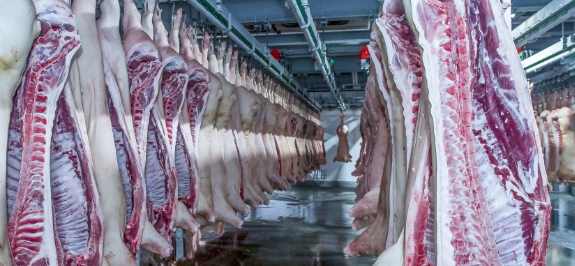 肉禽類加工 肉禽類加工